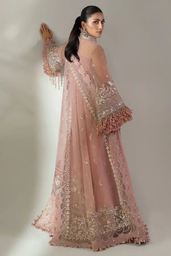 ELAN | WEDDING FESTIVE 2024 | (EC24-07)
