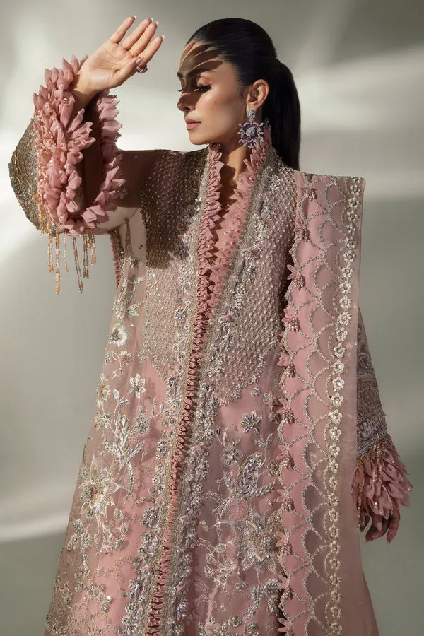 ELAN | WEDDING FESTIVE 2024 | (EC24-07)