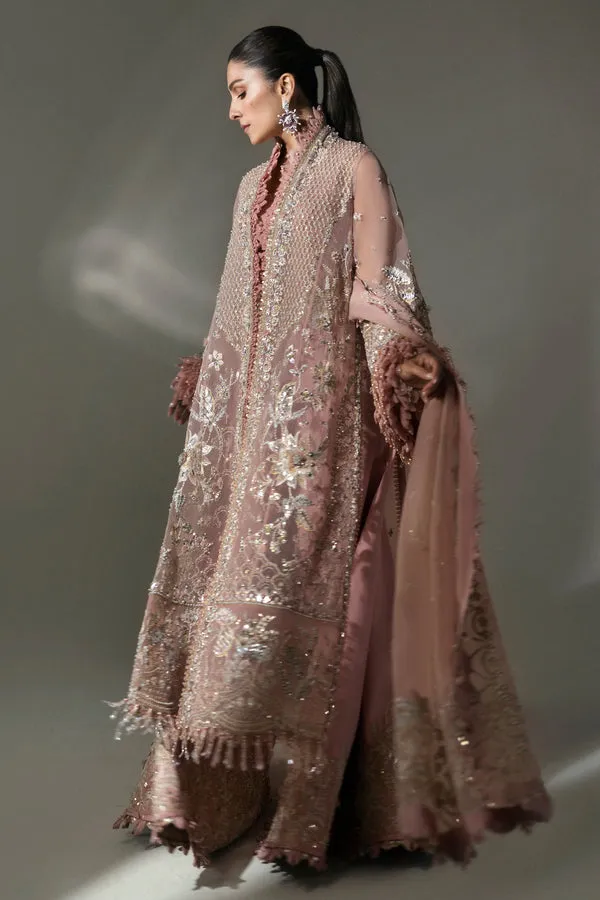 ELAN | WEDDING FESTIVE 2024 | (EC24-07)