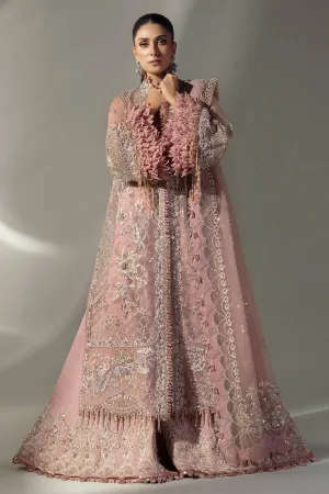 ELAN | WEDDING FESTIVE 2024 | (EC24-07)