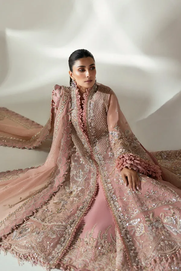 ELAN | WEDDING FESTIVE 2024 | (EC24-07)