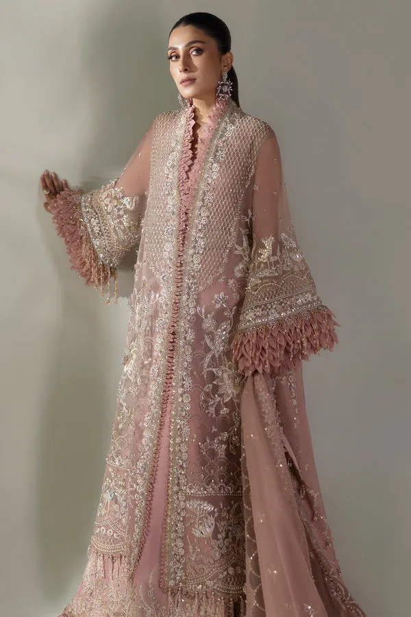 ELAN | WEDDING FESTIVE 2024 | (EC24-07)