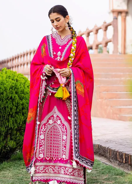 Embellished Pakistani Raw Silk Pink Kameez Salwar