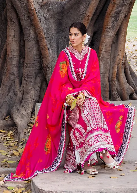 Embellished Pakistani Raw Silk Pink Kameez Salwar