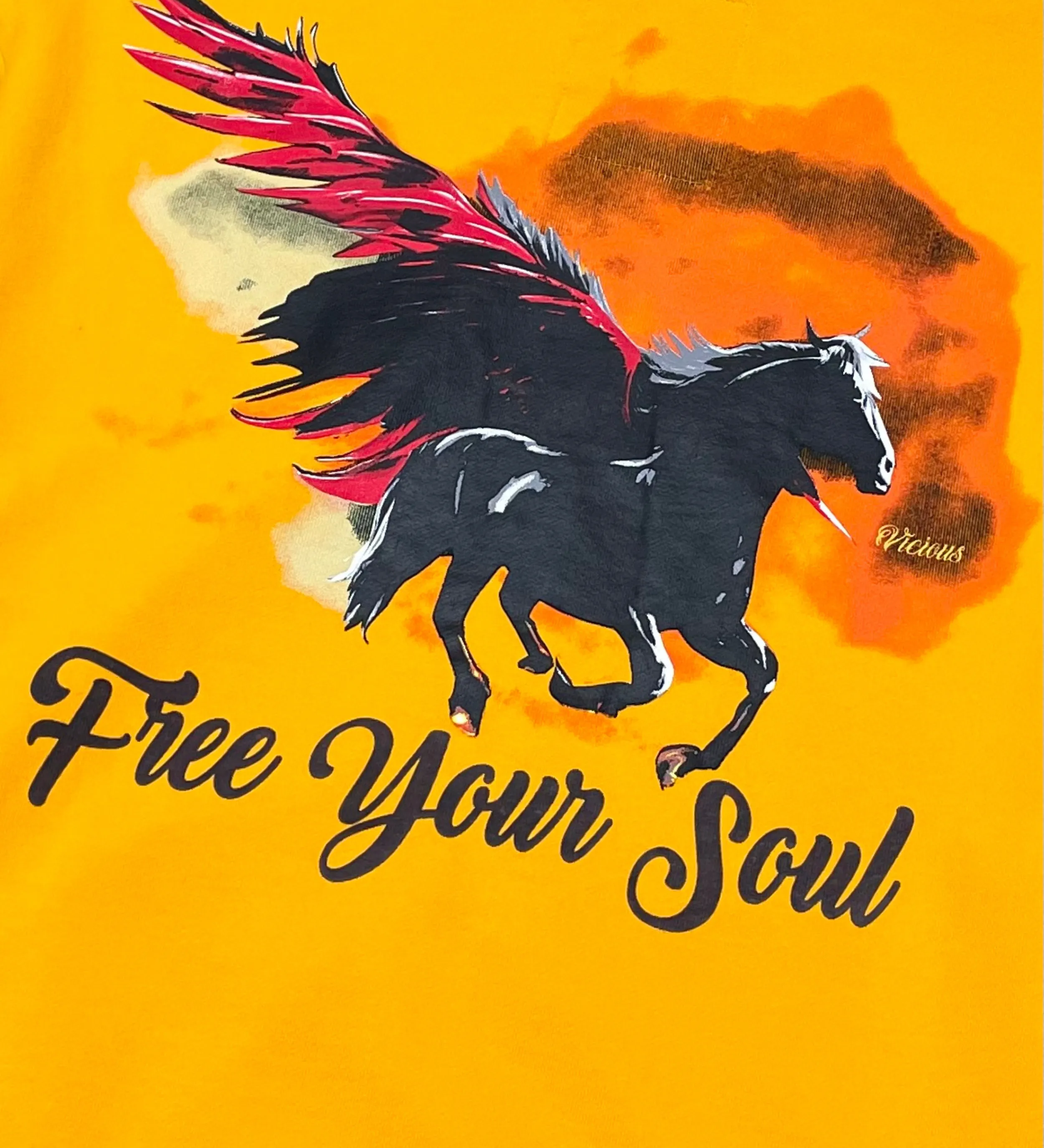 Free Your Soul Vintage Zip Up Hoodie