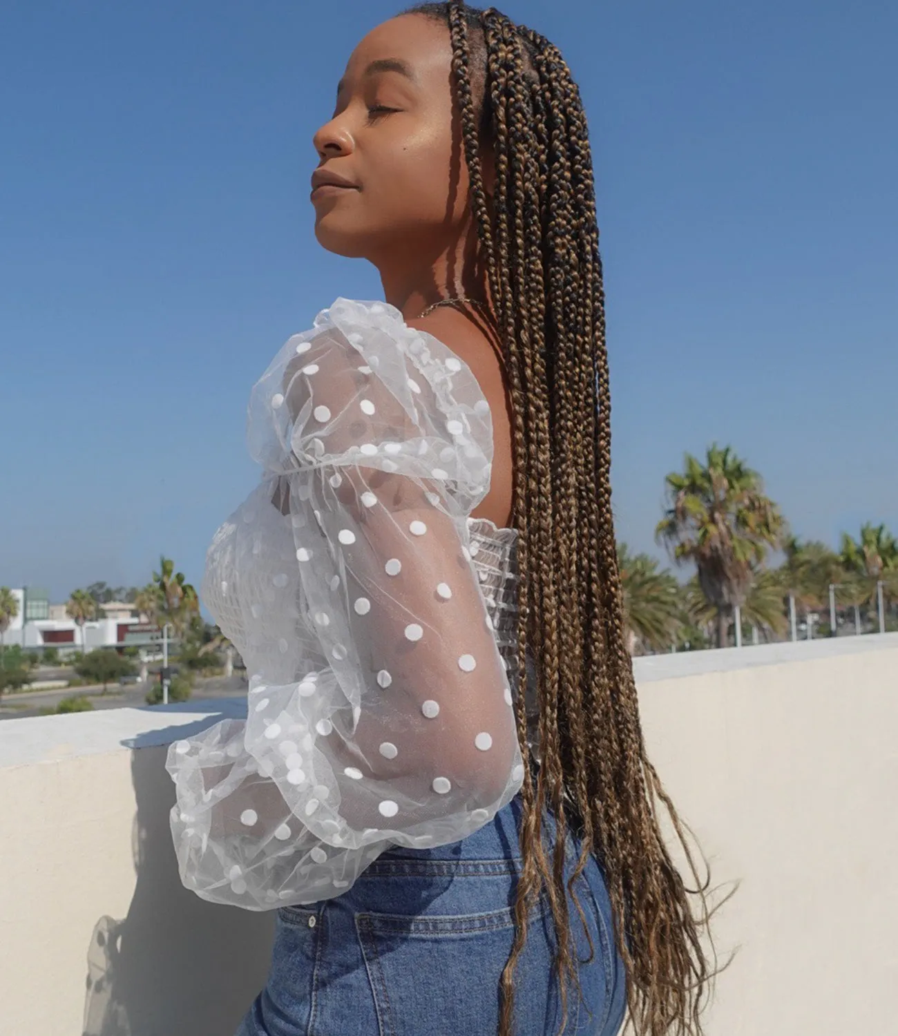 Holiday Dinner Mesh Sleeve Top(White)