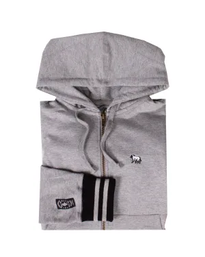 Kids Gray Varsity Logo hoodie