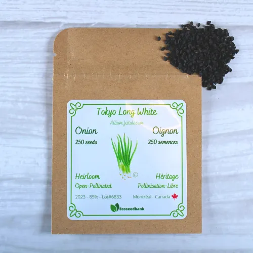 Tokyo Long White Onion Seeds